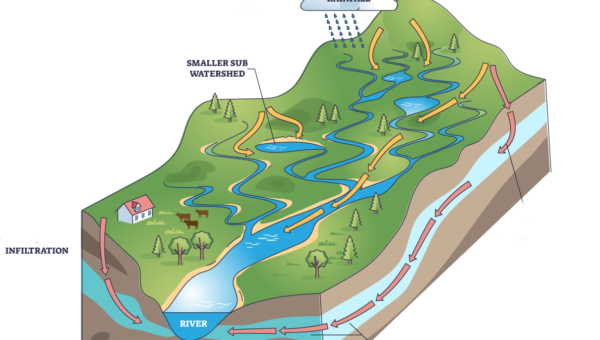 Watershed/Subwatershed Plan